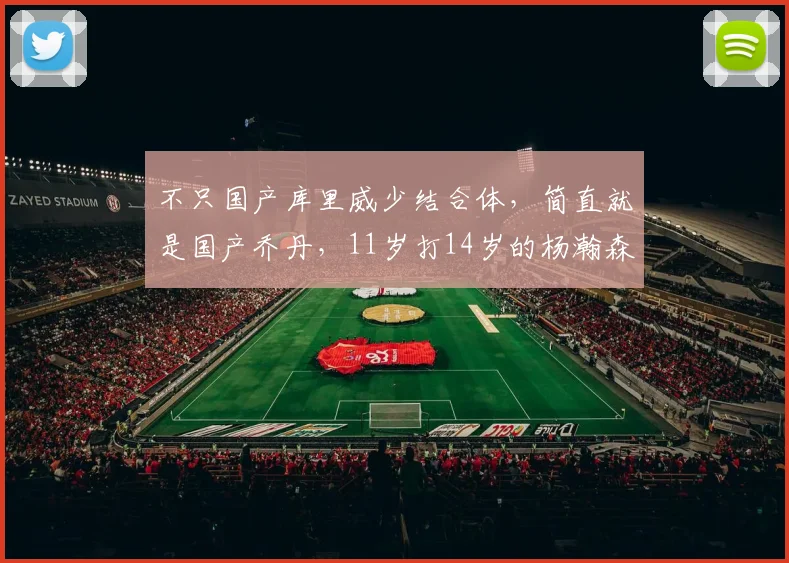 不只国产库里威少结合体，简直就是国产乔丹，11岁打14岁的杨瀚森